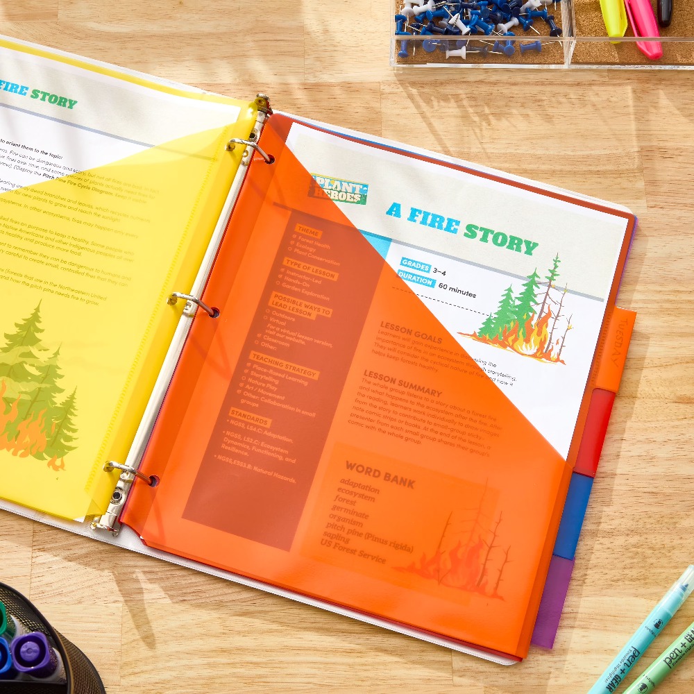 Vibrant Color Index Tab Divide - Tab Divider A4 incelemesi ve fiyatı